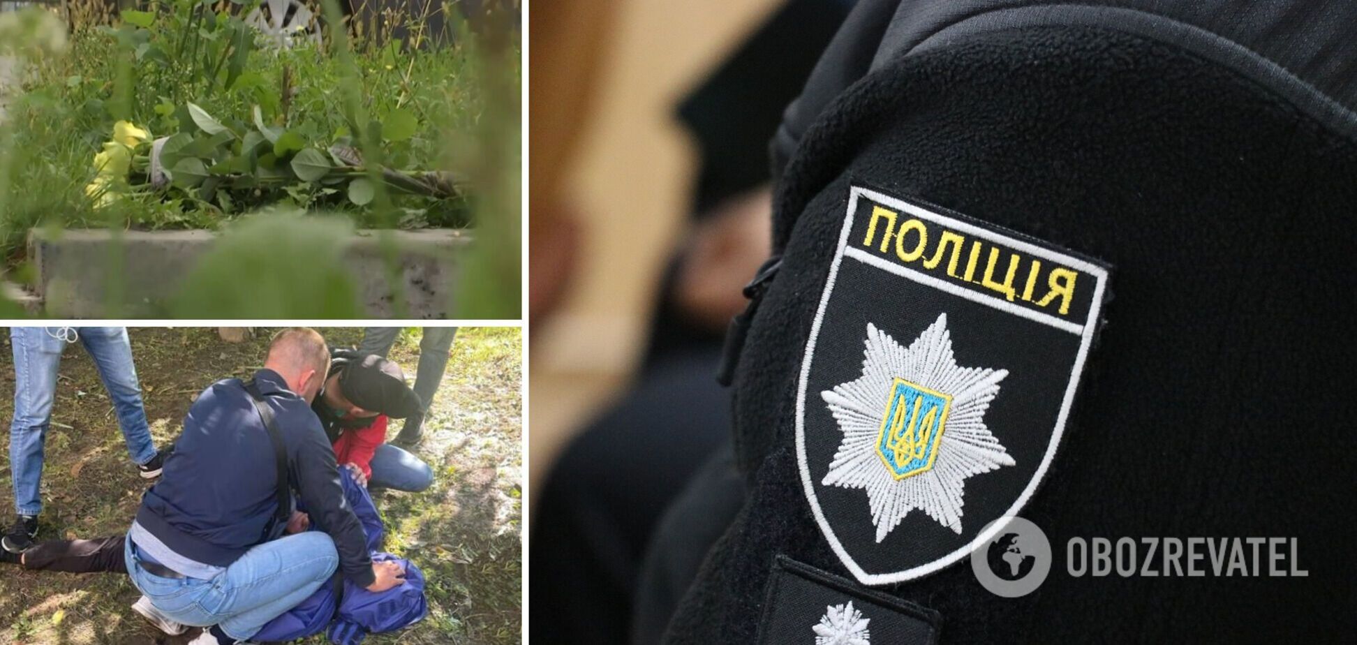 Вбивство жінки в Новоград-Волинському