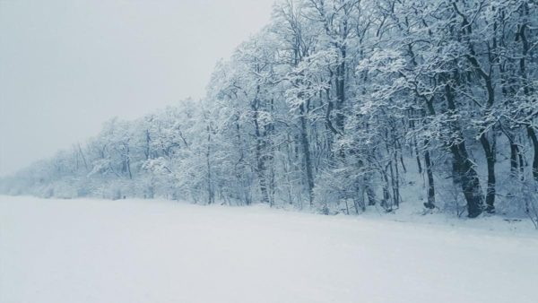 Україну накриває циклон: буде сніг і вітер до 27 м/с